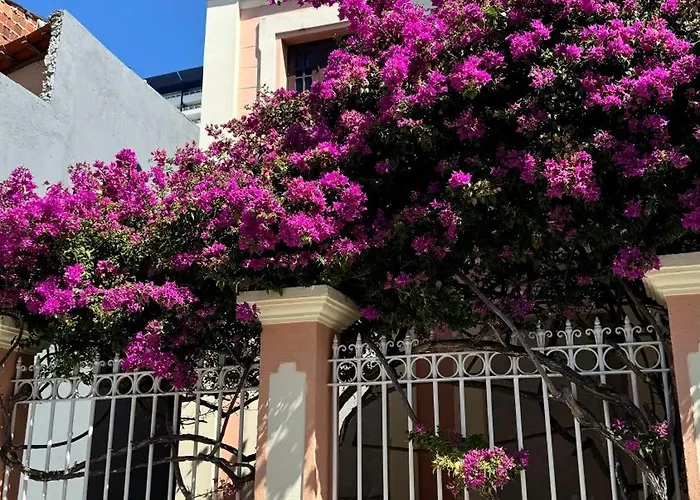 Jardim Iracema