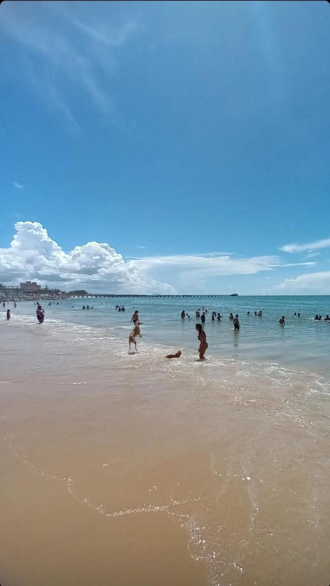 Jardim Iracema *