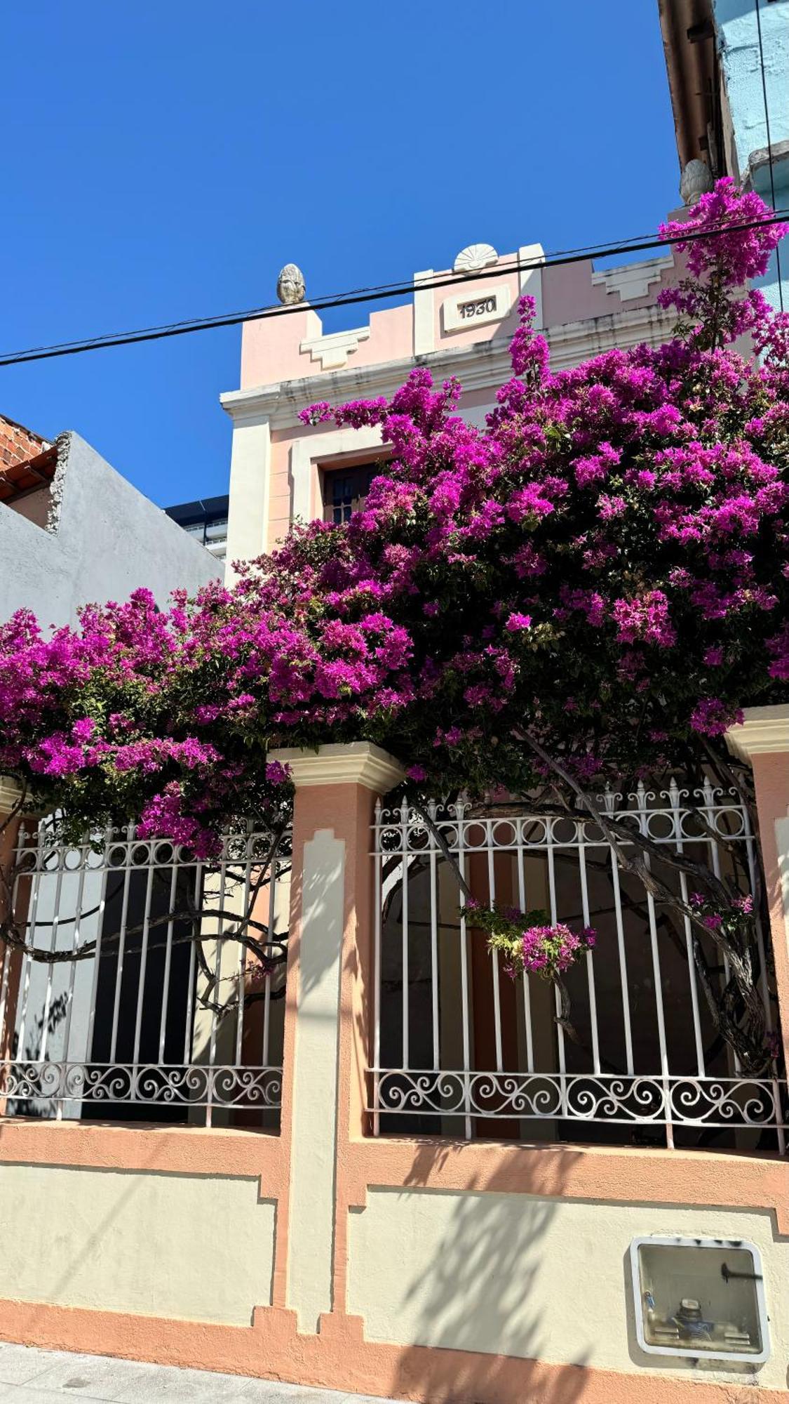 Jardim Iracema Fortaleza (Ceara)