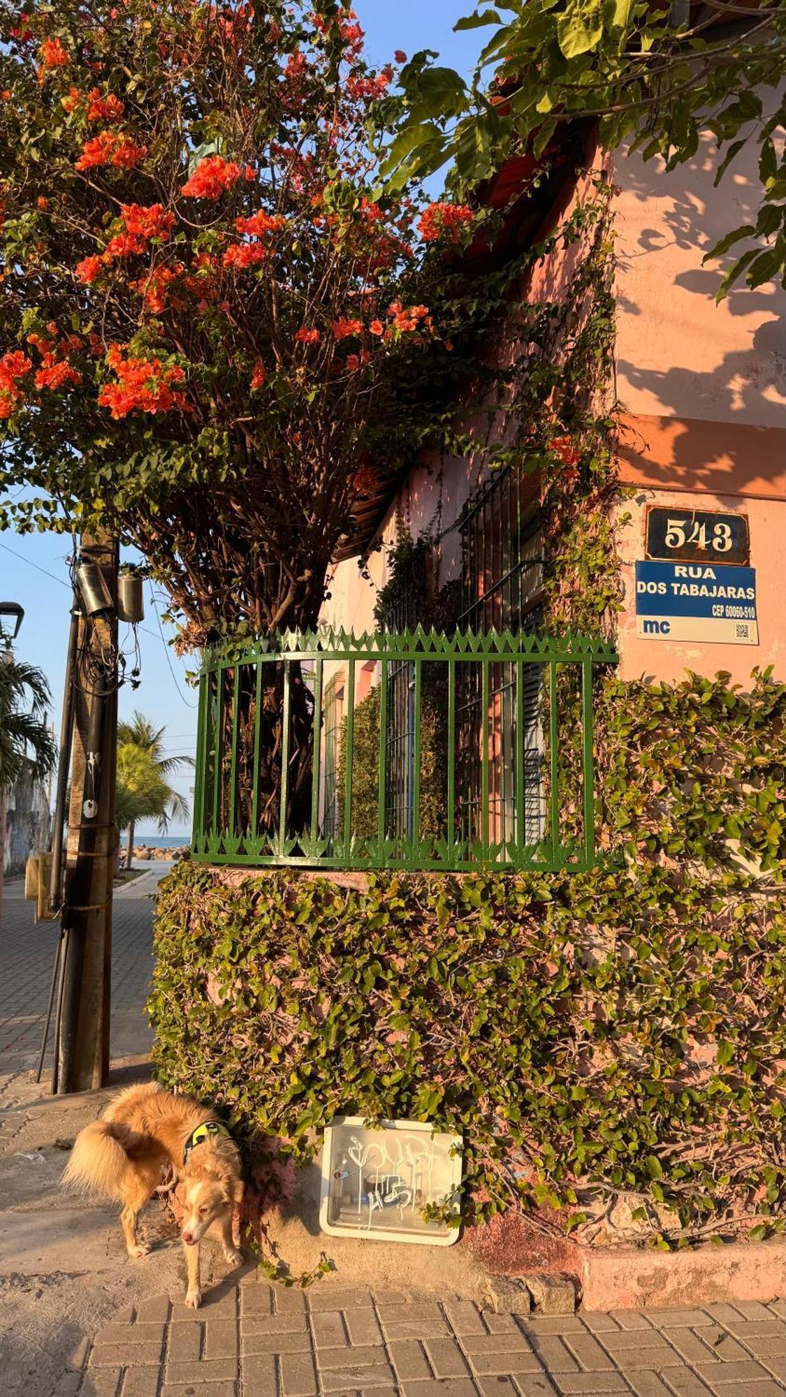 Jardim Iracema Apartamento